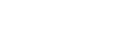 INSI