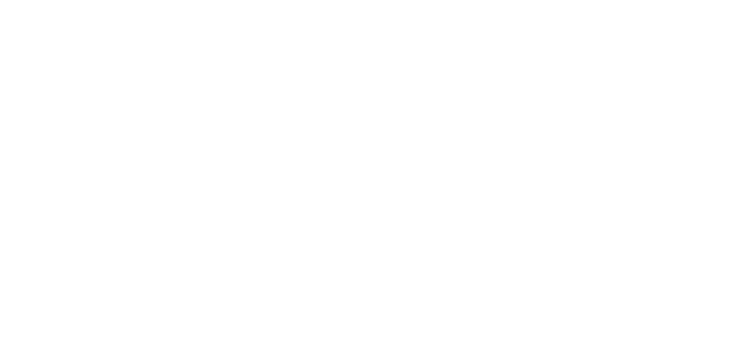 INSI