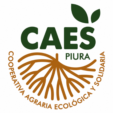 CAES Piura